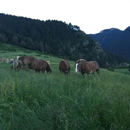 Cal Pedrals Hétvégi ház